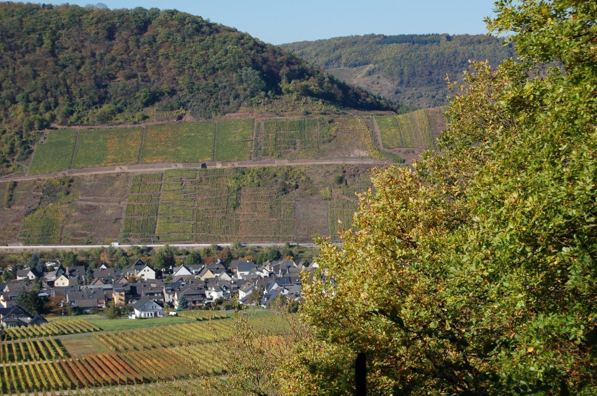 Ferienhaus Mosel Bub Bruttig-Fankel Esterno foto