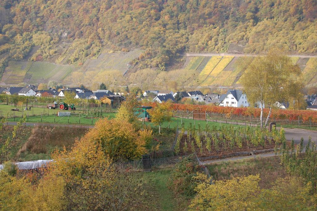 Ferienhaus Mosel Bub Bruttig-Fankel Camera foto